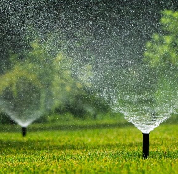 Efficiency is at the heart of our environmental strategy. We design sophisticated irrigation networks that ensure your landscape stays lush while minimizing water waste.