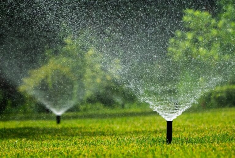 Efficiency is at the heart of our environmental strategy. We design sophisticated irrigation networks that ensure your landscape stays lush while minimizing water waste.