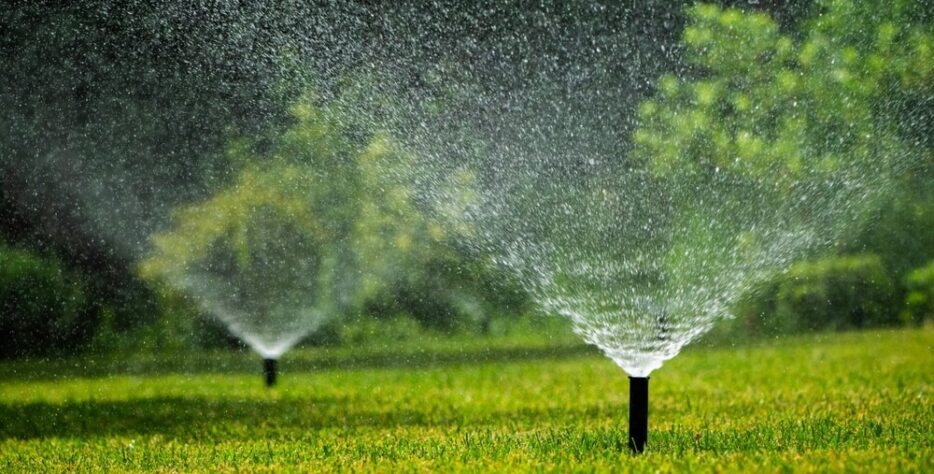 Efficiency is at the heart of our environmental strategy. We design sophisticated irrigation networks that ensure your landscape stays lush while minimizing water waste.