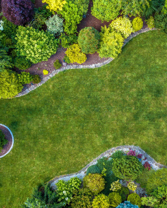 This is where we bring life to the environment. We select and install living elements that thrive in their specific climate while maintaining year-round vibrancy.