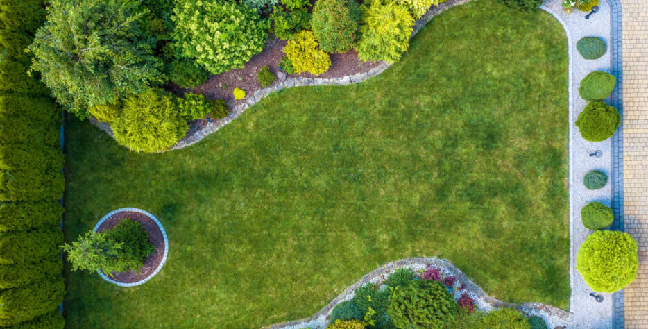 This is where we bring life to the environment. We select and install living elements that thrive in their specific climate while maintaining year-round vibrancy.